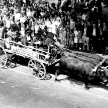 Lewisville Roller Mills Ox Cart in 1949 Forsyth County Centennial Parade