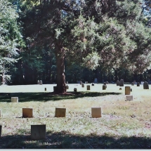 Shiloh Lutheran Church Old Cemetery